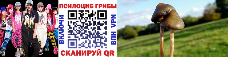 Купить закладки  Орск  Псилоцибиновые грибы мицелий 